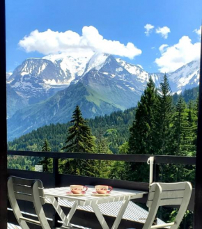 Appartement Saint Gervais les Bains piscine et vue imprenable Mont Blanc
